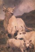 Wild Cattle at Chillingham (nn03) Sir Edwin Landseer